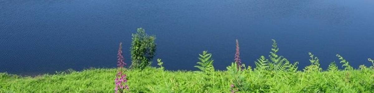 Photo "Kirkleegreen Reservoir. Well weathered in old reservoir." by Richard Webb (Creative Commons Attribution-Share Alike 2.0) / Cropped from original