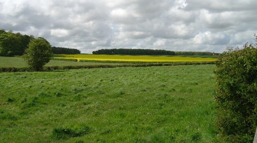 Billede "Dalton Holme" af Ian Lavender (CC BY-SA) / beskåret fra det originale billede