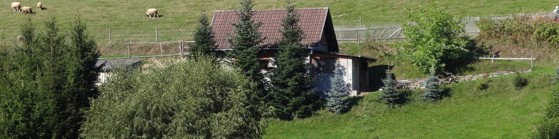 Reichenbach, Schmalkalden, ThĂŒringen, Deutschland