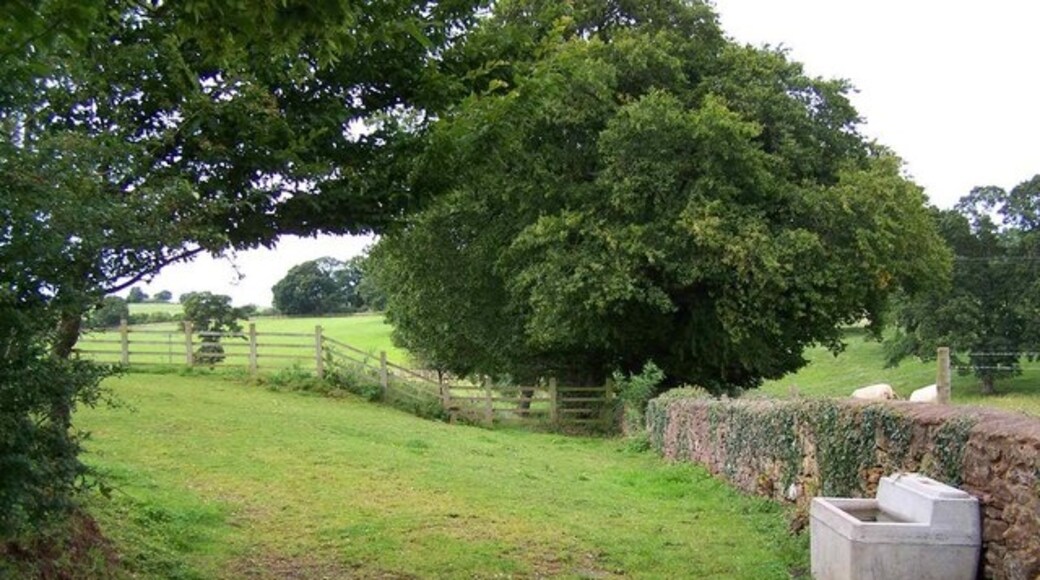 Foto "Ash Priors" de Geoff Pick (CC BY-SA) / Recortada do original