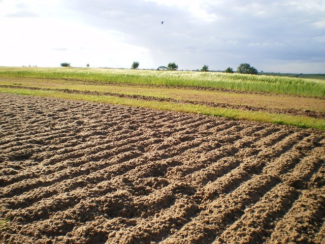 "Stoke upon Tern"-foto av Richard Law (CC BY-SA) / Urklipp från original