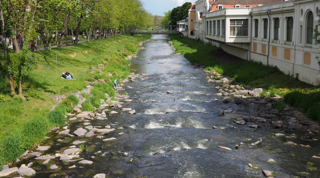 Photo "Bachem" by Nick-D (CC BY-SA) / Cropped from original