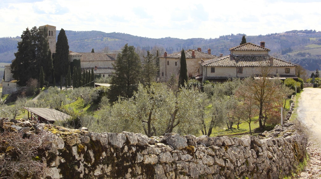Photo "Gaiole in Chianti" by LigaDue (CC BY-SA) / Cropped from original