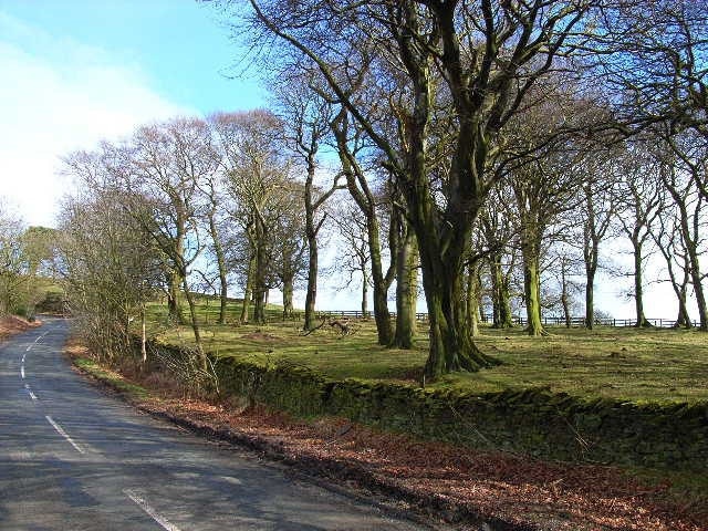 Photo "Cornsay" by Oliver Dixon (CC BY-SA) / Cropped from original