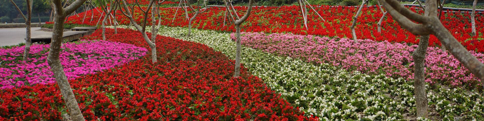 Xizhou, Condado de Changhua, Taiwan