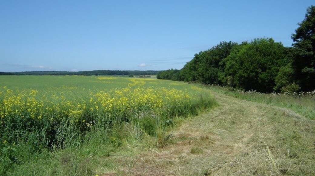 Kuva ”West Ayton” käyttäjältä martin dawes (CC BY-SA) / rajattu alkuperäisestä kuvasta