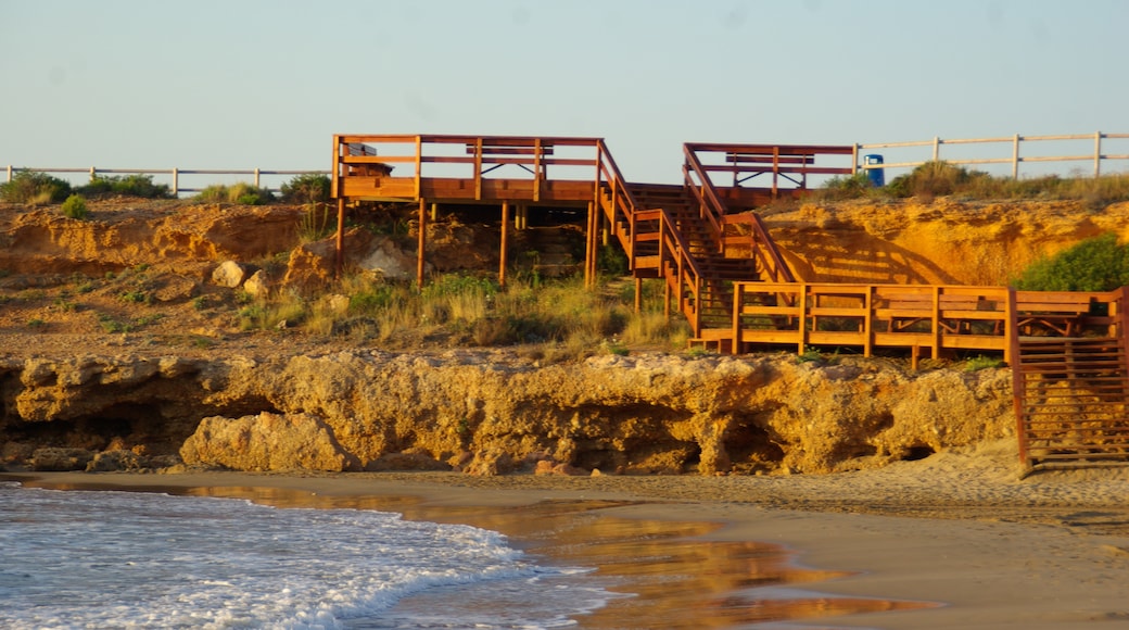 Foto "Playa Romana" de Concepcion AMAT ORTA… (CC BY) / Recortada de la original