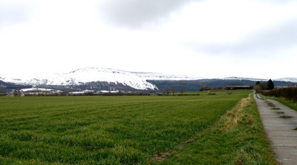 Billede "Faceby" af Carol Rose (CC BY-SA) / beskåret fra det originale billede