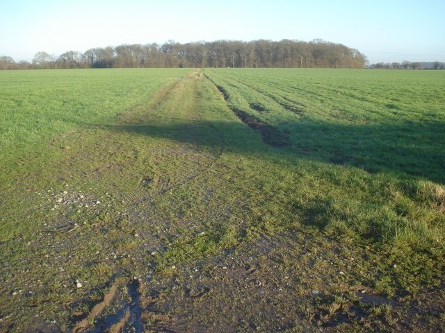 Photo "Leigh" by Trevor Rickard (CC BY-SA) / Cropped from original