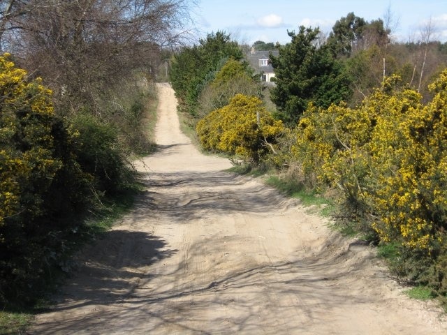 Poor Common Lane A straight, hard lane, bordered by gorse and young shire horses. Unfortunately, a main road at each end makes this a rat-run.