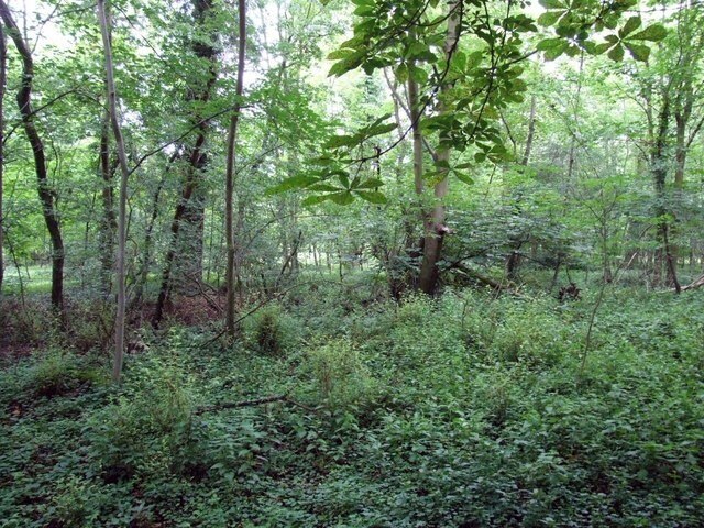 Foto “Croxton” tomada por Jeff Tomlinson (CC BY-SA); recorte de la original