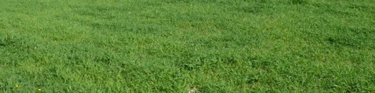 Photo "Church Hill A view of the western end of Church Hill from just south of Bookham." by Nigel Mykura (Creative Commons Attribution-Share Alike 2.0) / Cropped from original