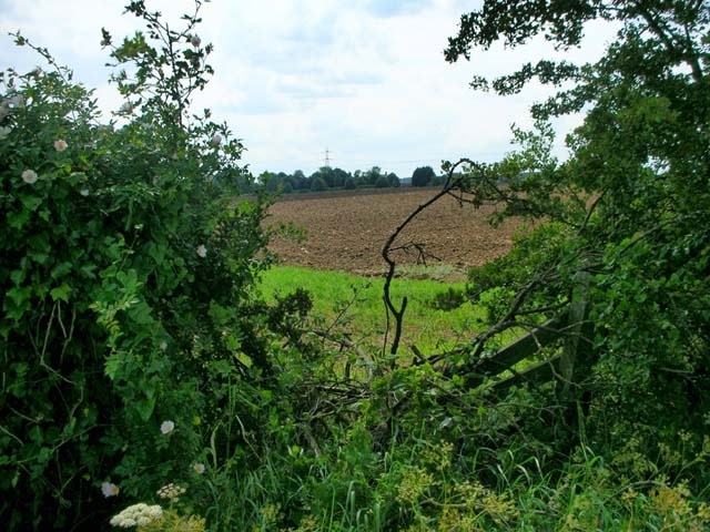 Foto „Pytchley“ von Will Lovell (CC BY-SA)/zugeschnittenes Original