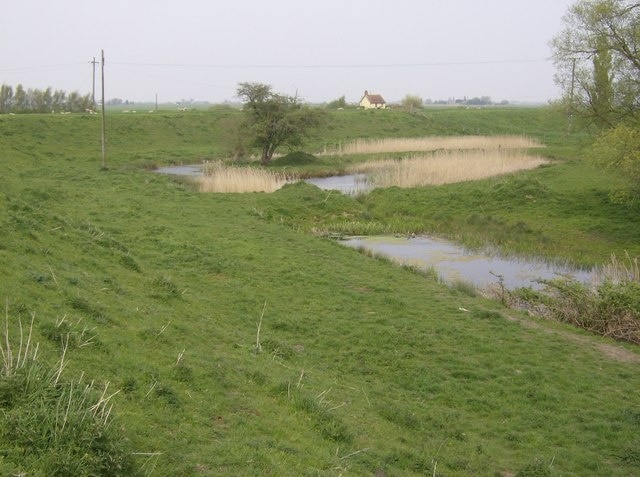 Brandon Marsh nature reserve - Wikipedia