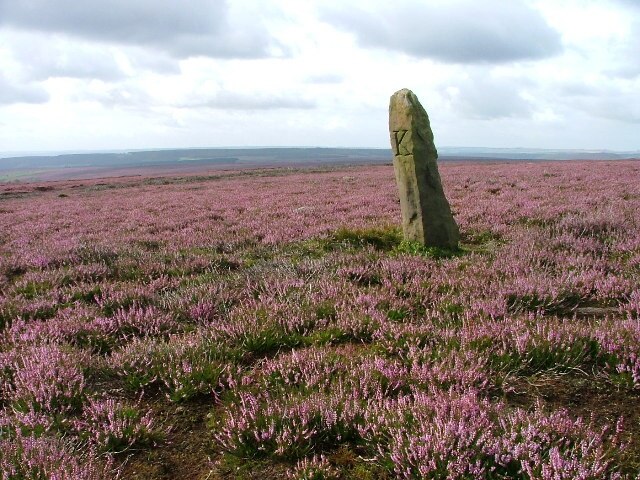 Foto “Pockley” tomada por Mick Garratt (CC BY-SA); recorte de la original