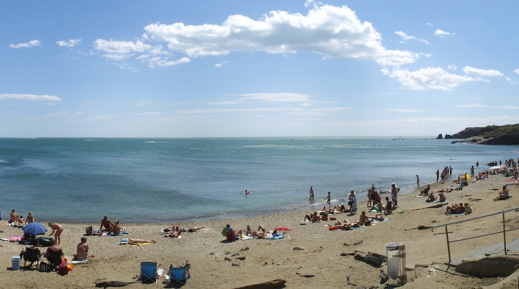 Plage de la Grande Conque au Cap-d'Agde (Agde, Hérault, France).