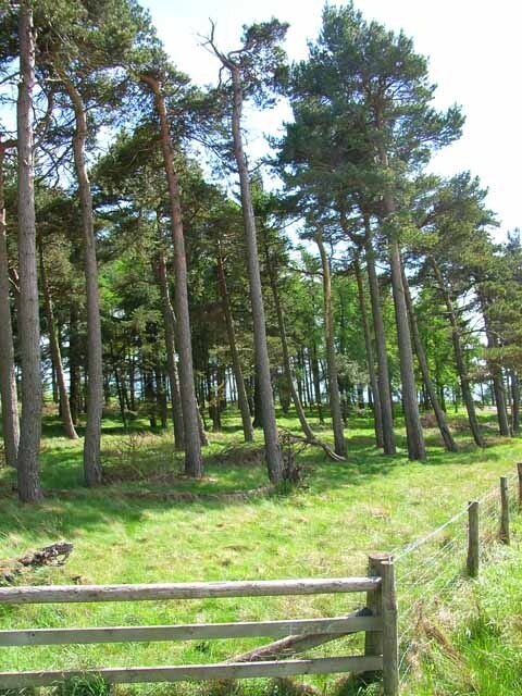 "West Hauxwell"-foto av Oliver Dixon (CC BY-SA) / Urklipp från original