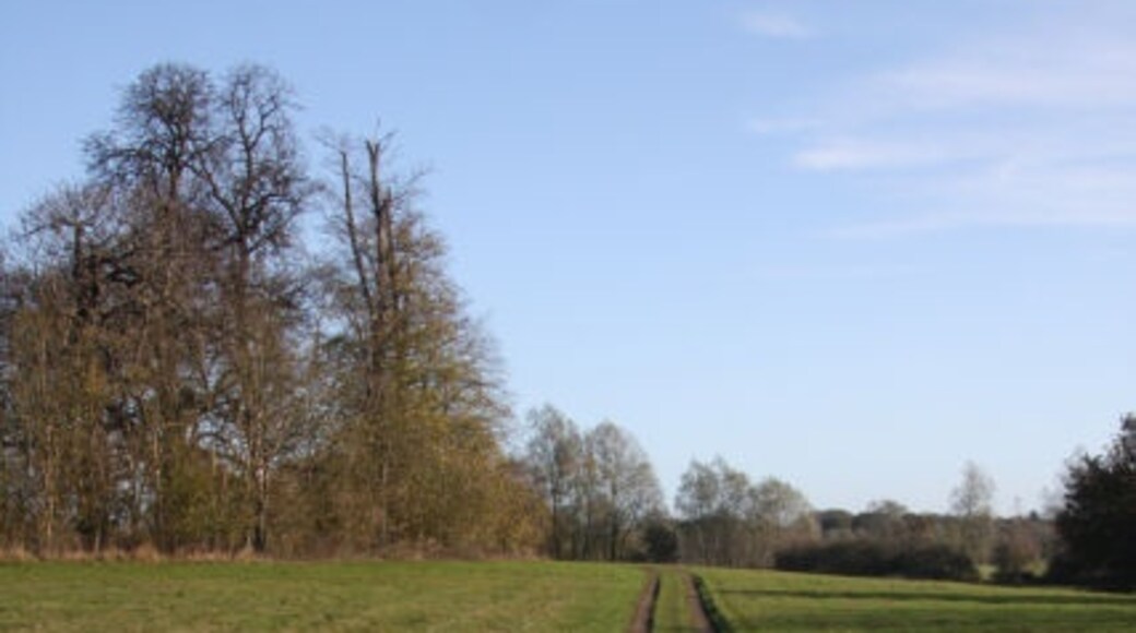 Foto "Langham" de Bob Jones (CC BY-SA) / Recortada do original