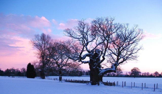 Photo "Rainton" by Gordon Hatton (CC BY-SA) / Cropped from original