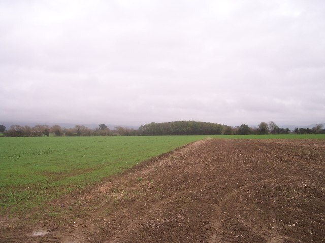 Foto „Elmstone Hardwicke“ von Bob Embleton (CC BY-SA)/zugeschnittenes Original