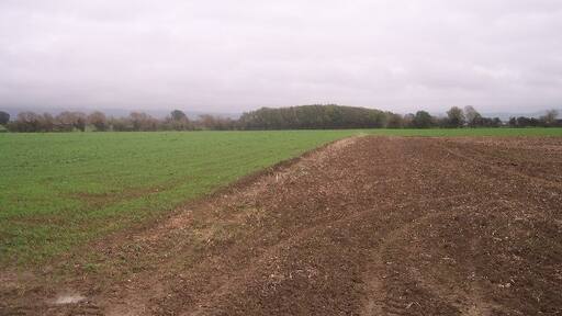 Foto „Elmstone Hardwicke“ von Bob Embleton (CC BY-SA)/zugeschnittenes Original