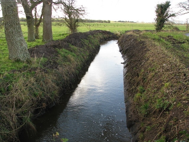 Roadside drainage ditch on West Moor