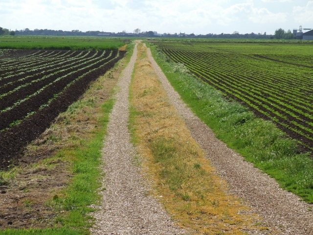 Photo "Halton Holegate" by Dave Hitchborne (CC BY-SA) / Cropped from original