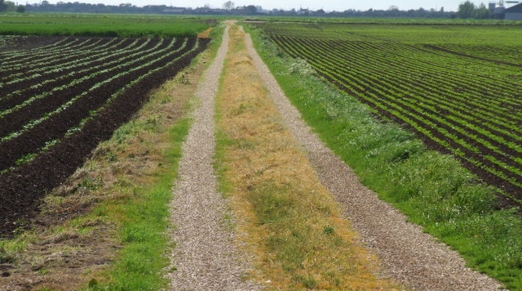 Photo "Halton Holegate" by Dave Hitchborne (CC BY-SA) / Cropped from original