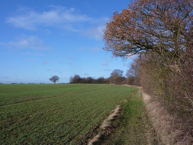 Billede "Preston St. Mary" af Andrew Hill (CC BY-SA) / beskåret fra det originale billede