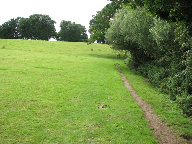 Public footpath to Surlingham church