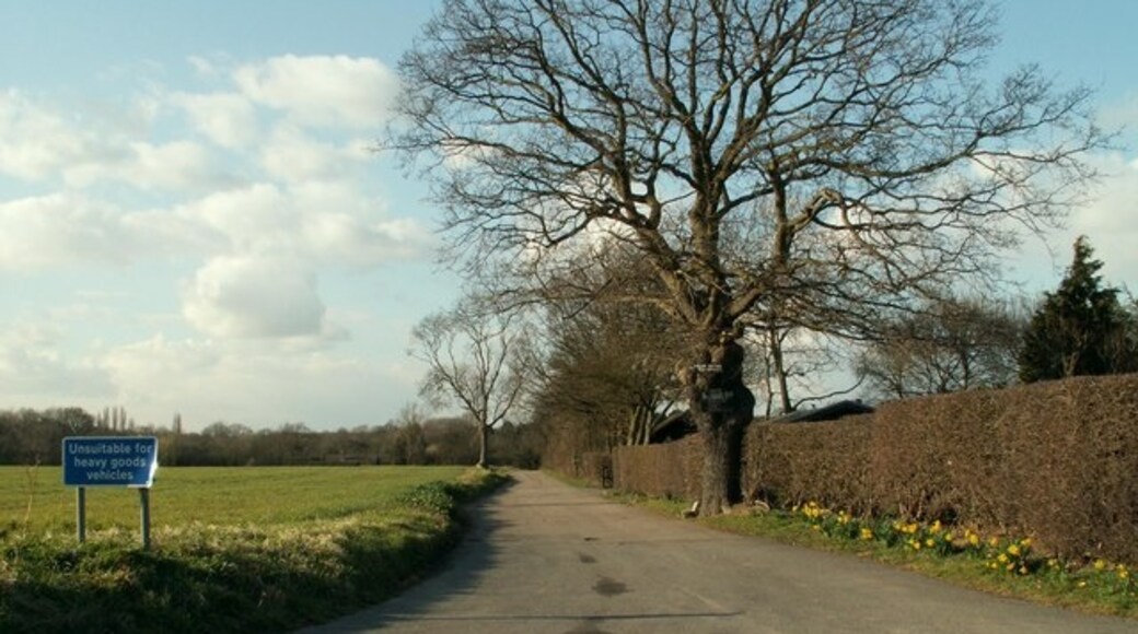 Kuva ”Doddinghurst” käyttäjältä Robert Edwards (CC BY-SA) / rajattu alkuperäisestä kuvasta