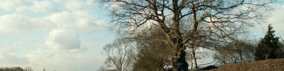 Photo "Brook Lane This lane passes through Peartree Green." by Robert Edwards (Creative Commons Attribution-Share Alike 2.0) / Cropped from original