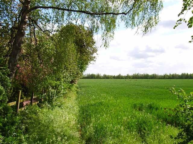 Field at Catterick. Looking towards the Swale. Taken from just across the road from Catterick Racecourse