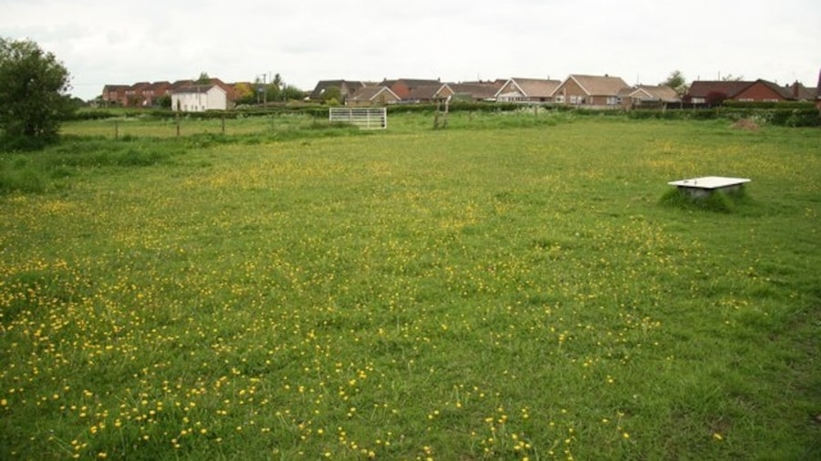 Photo "Buttercup Meadow Buttercups growing in a paddock at Blyton" by Richard Croft (Creative Commons Attribution-Share Alike 2.0) / Cropped from original