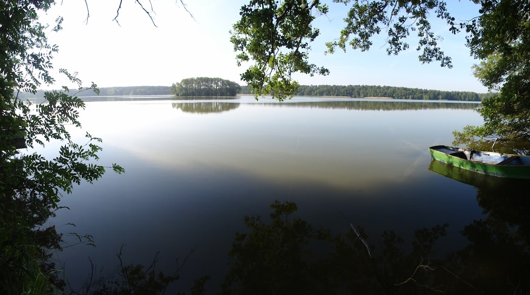Foto „Naturpark Uckermärkische Seen“ von Dirk Kobow (CC BY)/zugeschnittenes Original