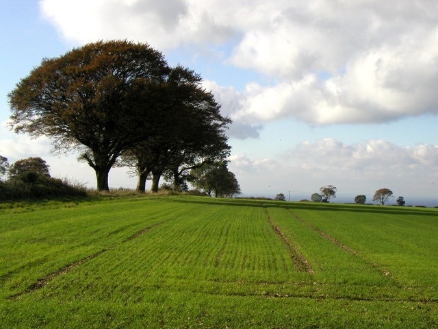 Foto “Kirby Underdale” tomada por Andy Beecroft (CC BY-SA); recorte de la original