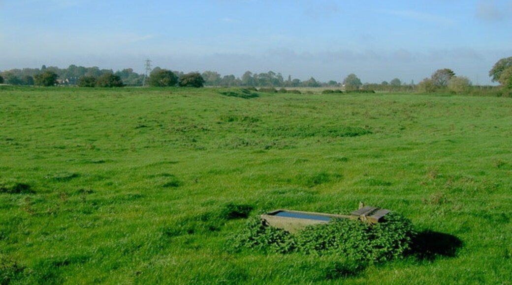 Kuva ”Wyberton” käyttäjältä Paul Hudson (CC BY-SA) / rajattu alkuperäisestä kuvasta