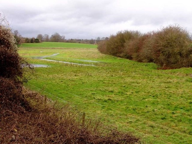 Photo "Preston" by Frank Skinner (CC BY-SA) / Cropped from original