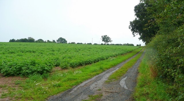 Track to Dunan Potato crop and track south of the B4349.