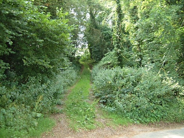 Path to Ancient Fort/Camp. This path starts opposite the entrance to Coombe Farm and ascends to the Ancient Fort/Camp at ST461925.