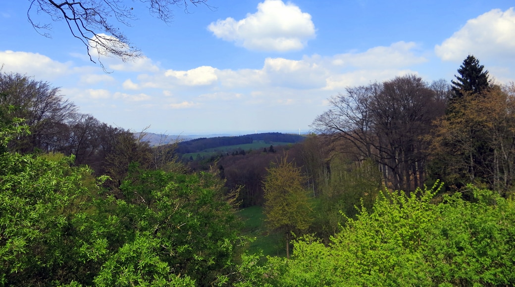 Foto "Seeheim-Jugenheim" de AxeldieRatte (CC BY-SA) / Recortada do original