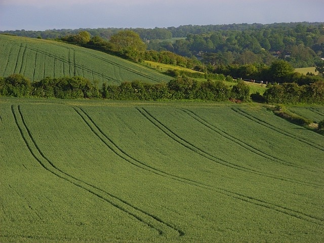 Visit Goring 2022 Travel Guide for Goring, Reading Expedia