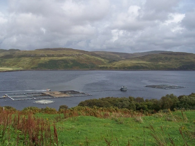 Salmon farm in Loch Harport Operated by Marine Harvest - a world wide company which has several fish farms around Skye.