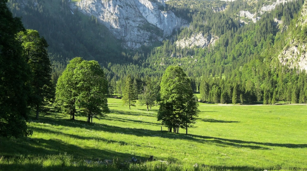 Am Wankerfleck in den Ammergauer Alpen, im Hintergrund die Hochplatte
