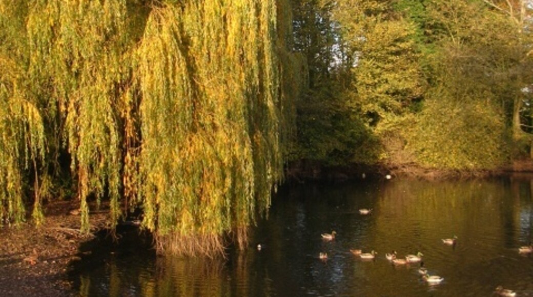 Kuva ”Warthill” käyttäjältä DS Pugh (CC BY-SA) / rajattu alkuperäisestä kuvasta