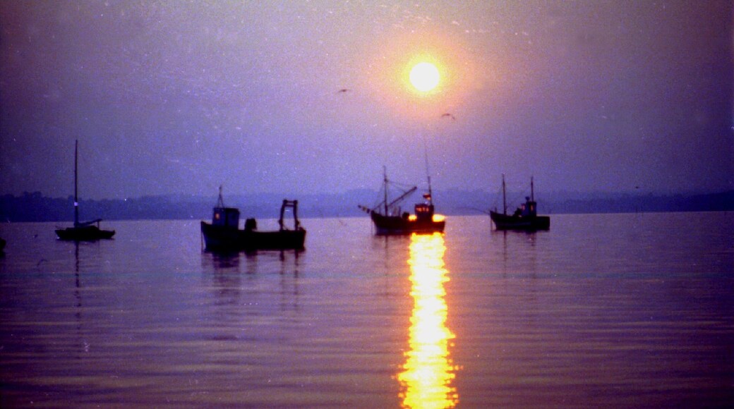 « Loguivy», photo de David Broad (CC BY) / rognĂ©e de lâoriginale