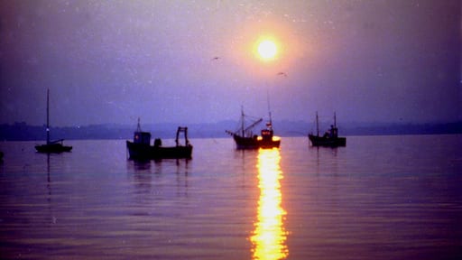 « Loguivy», photo de David Broad (CC BY) / rognĂ©e de lâoriginale