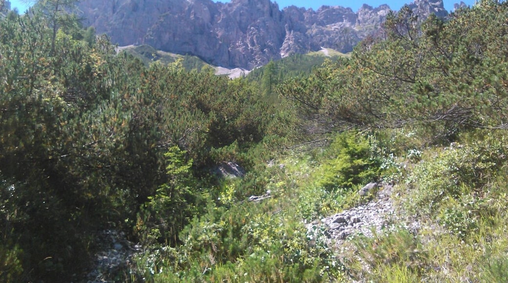 Kuva ”Parco Naturale delle Dolomiti Friulanen luonnonpuisto” käyttäjältä LippolisE (page does not exist) (CC BY-SA) / rajattu alkuperäisestä kuvasta