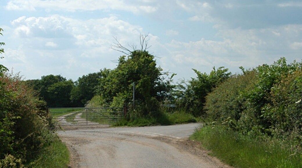 Photo "Bentley Pauncefoot" by Row17 (CC BY-SA) / Cropped from original