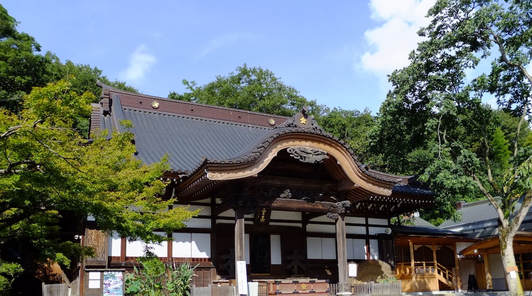 Jindaiji-hofið, Chofu, Tókýó (svæði), Japan